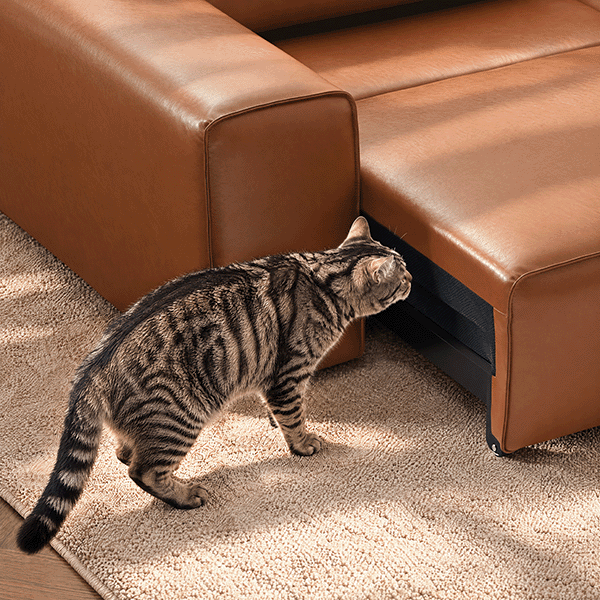 Extend Without Worrying About Paws