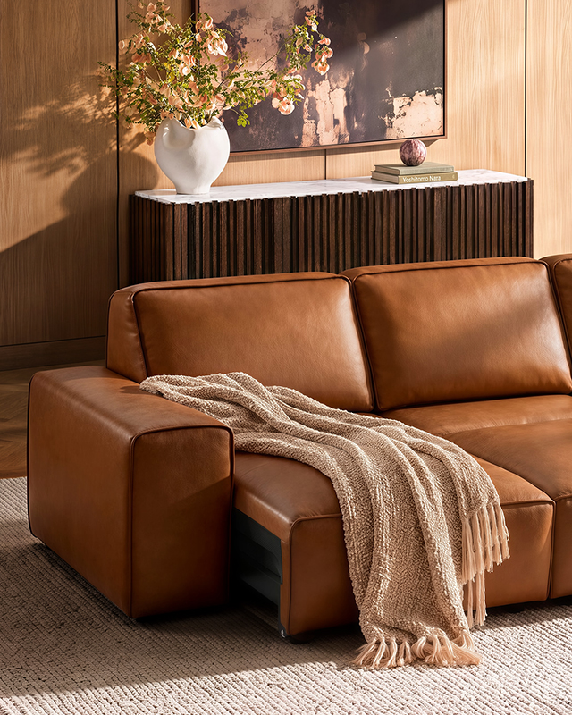 Power Sleeper Sofas