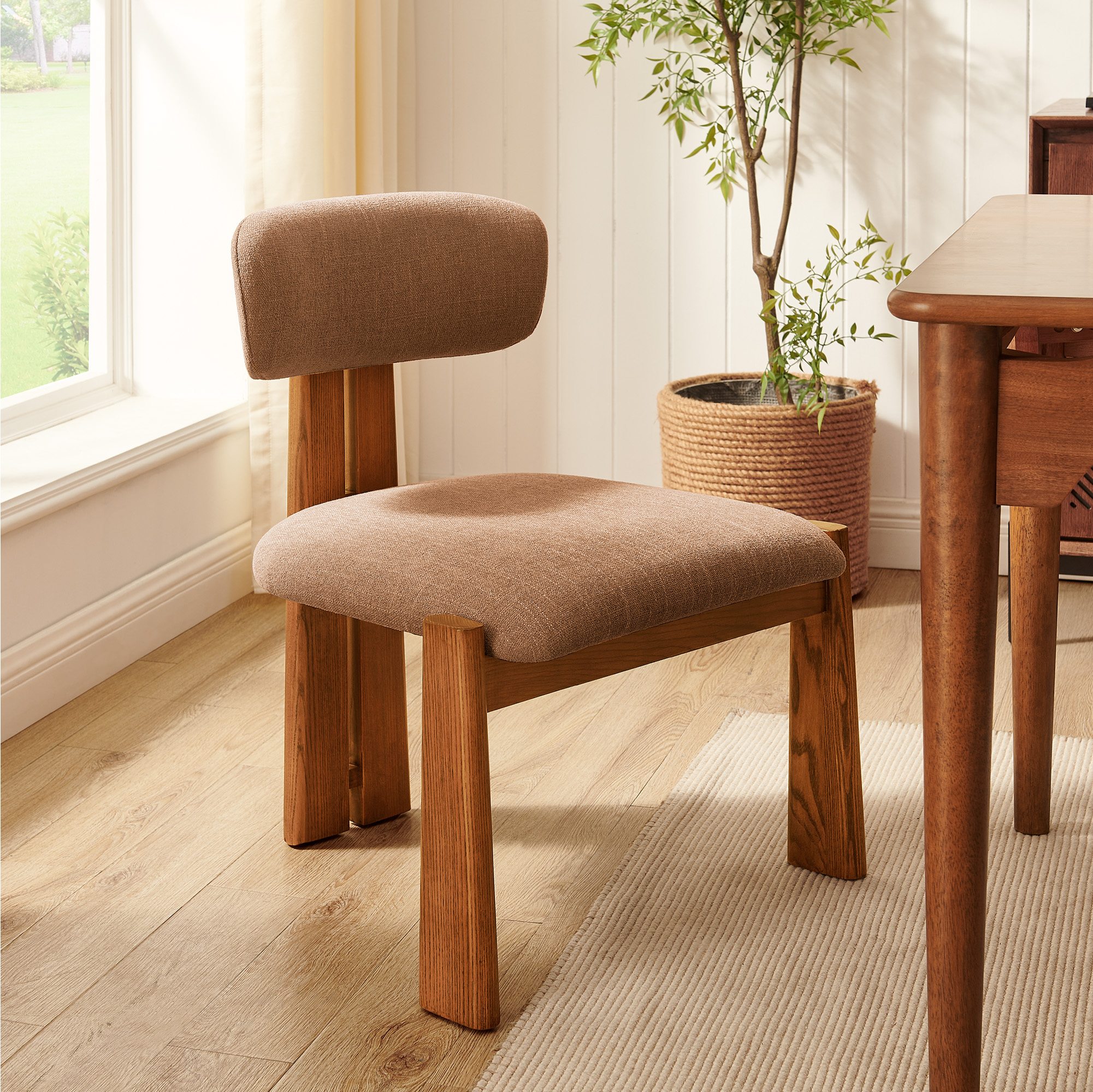 Spine Mid Century A…