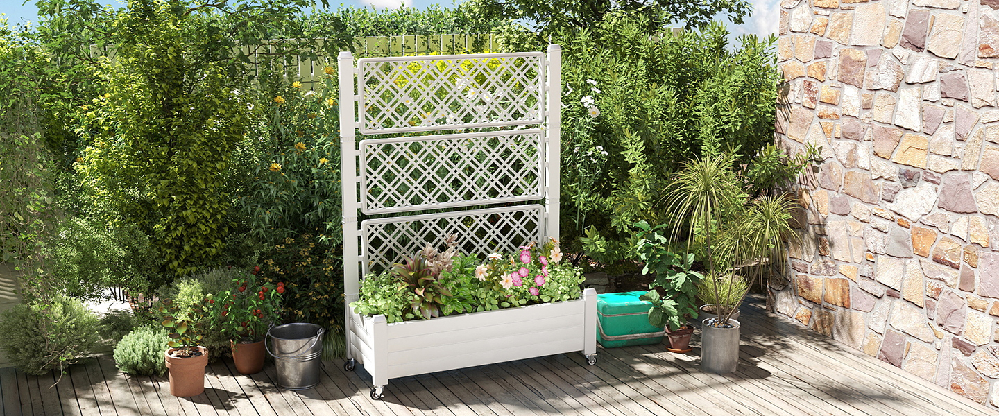 raised planter boxes