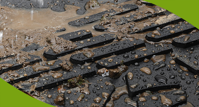 Rugged Toughness: Conquer Any Terrain