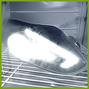 Temperature & Humidity Test