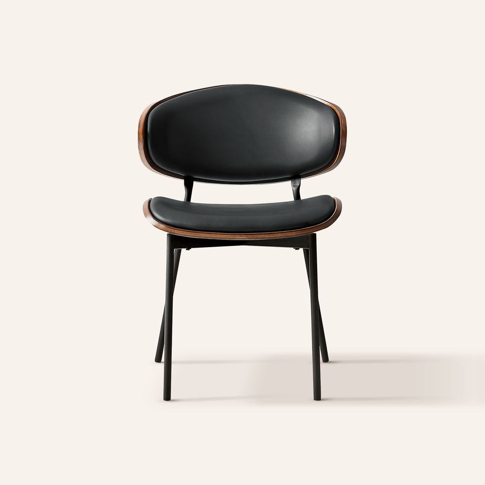 Modern Black Dining Chairs