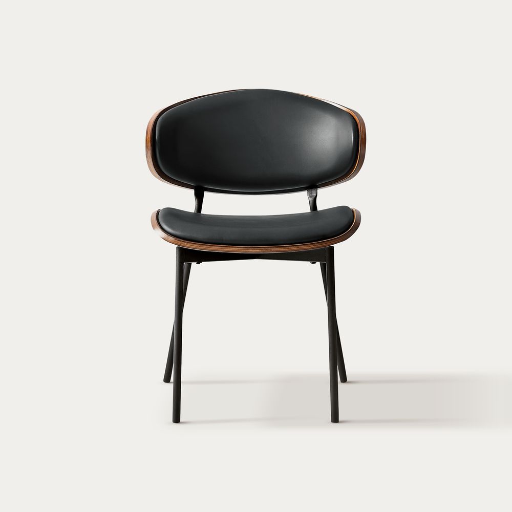 Modern Black Dining Chairs