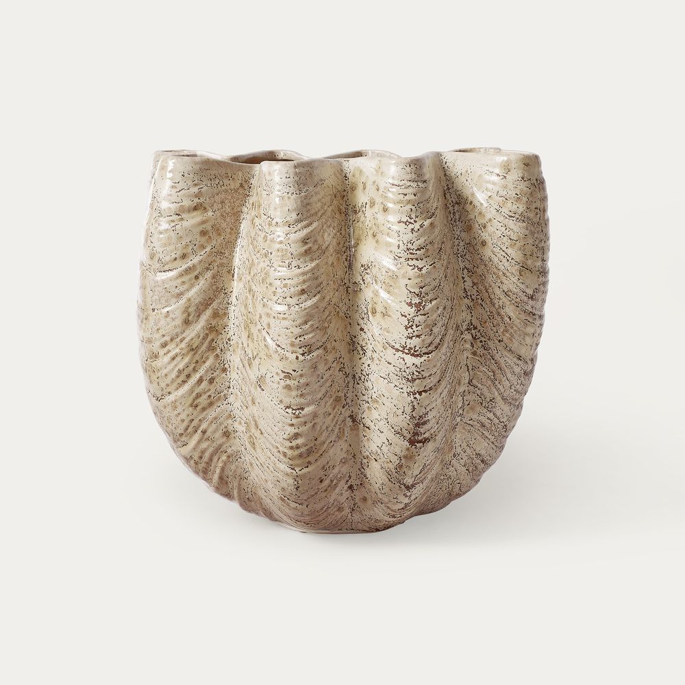 Tridacna gigas design ceramic vase