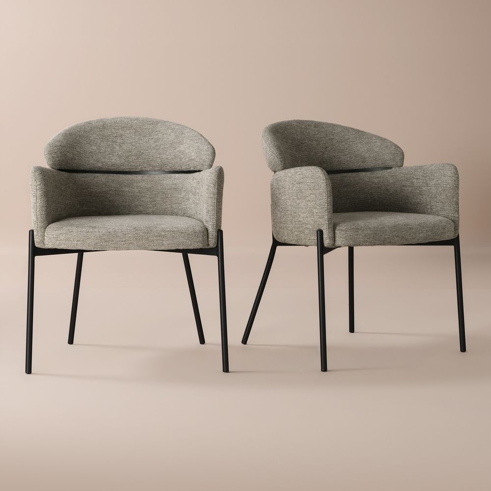 Modern Grey Dining Chairs Set of 2