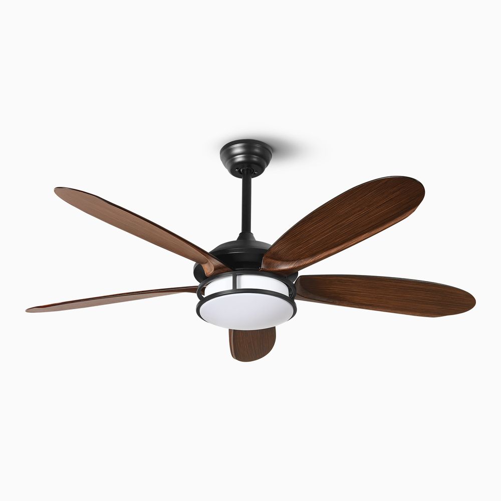 52" Ceiling Fan with led