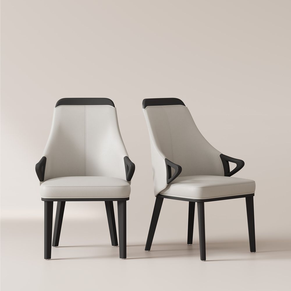 Black and White Dining Chairs Set of 2