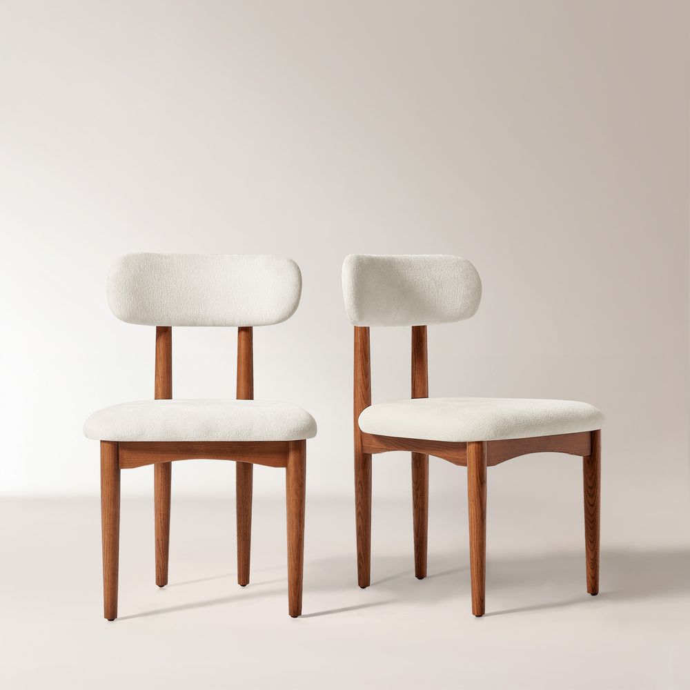 dining chair set of 2