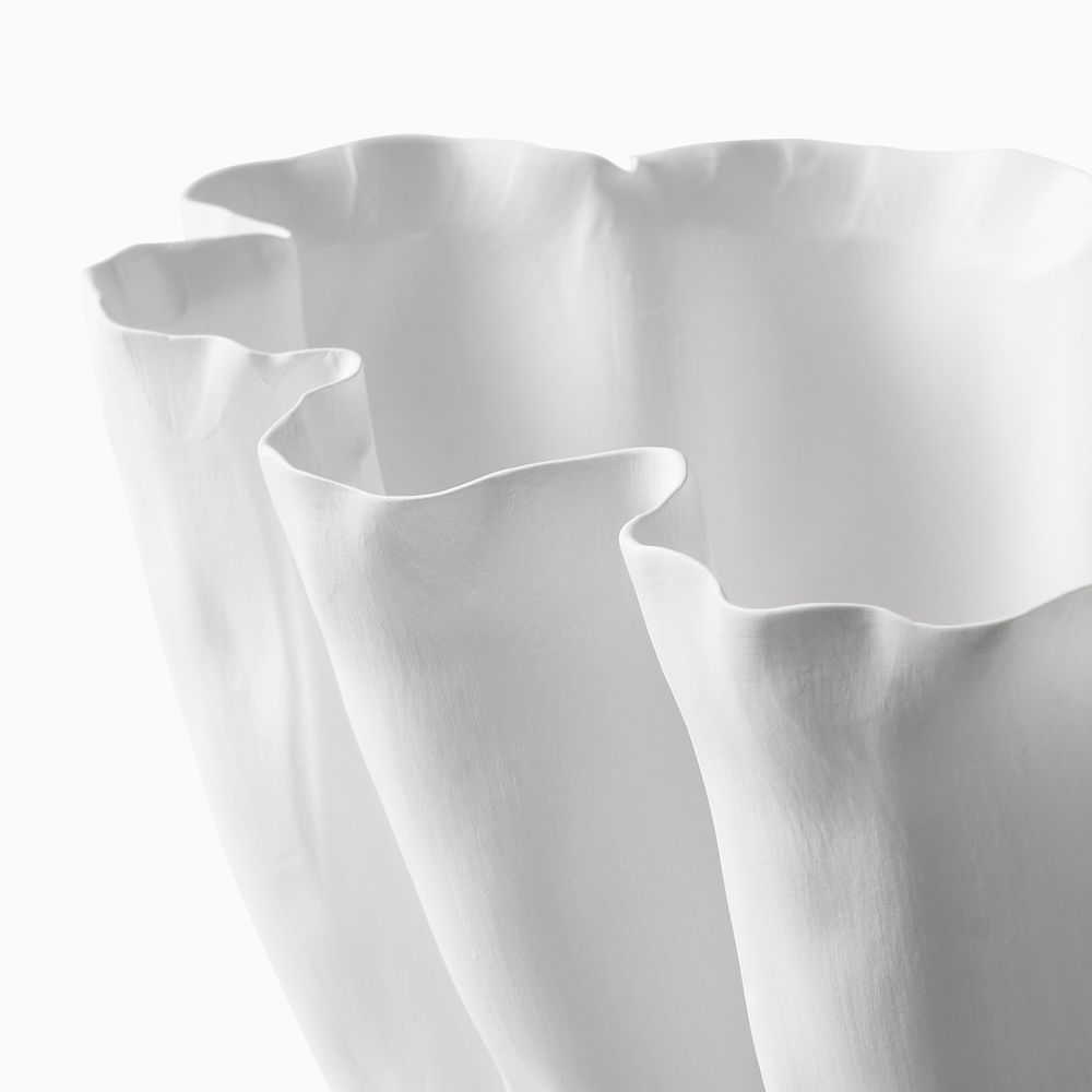 white ceramic vases blooming