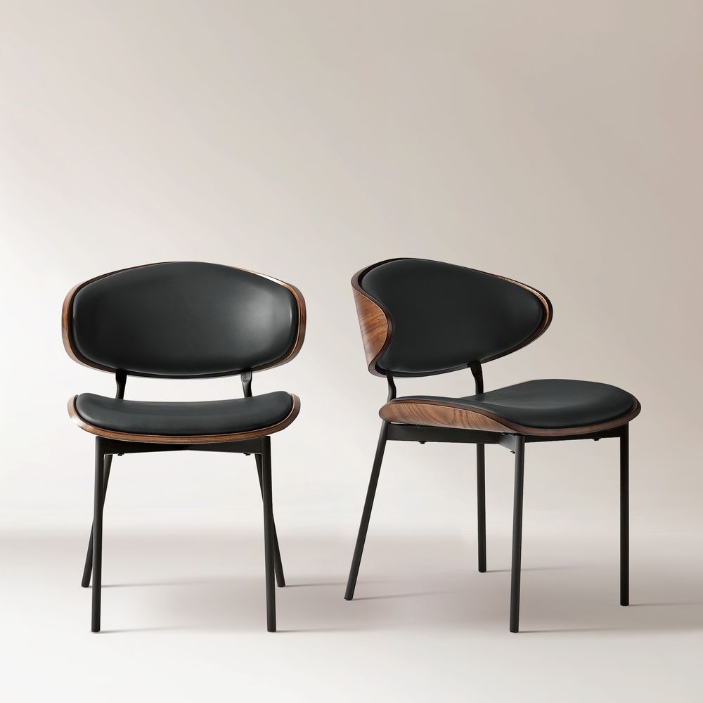 Modern Dining Chairs Set of 2