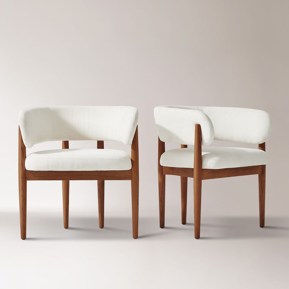 dining chair set of 2