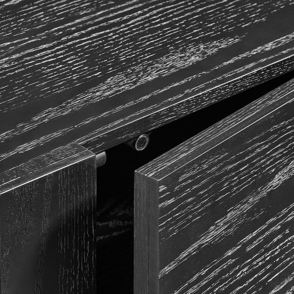 cabinet with adjuatable sheves