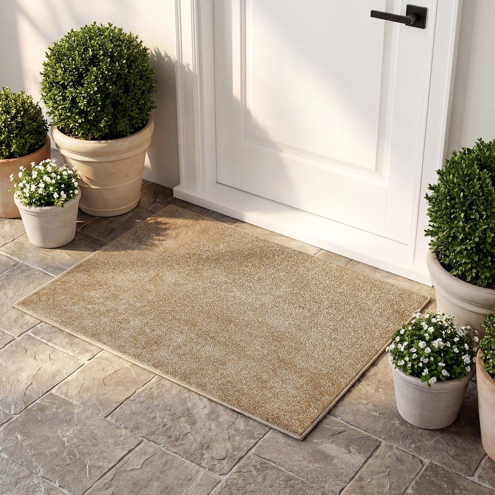 brown washable Gradient doormats