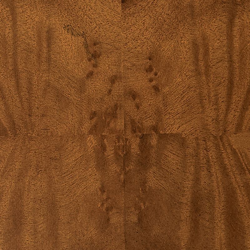 Natural Burl Grain Detail