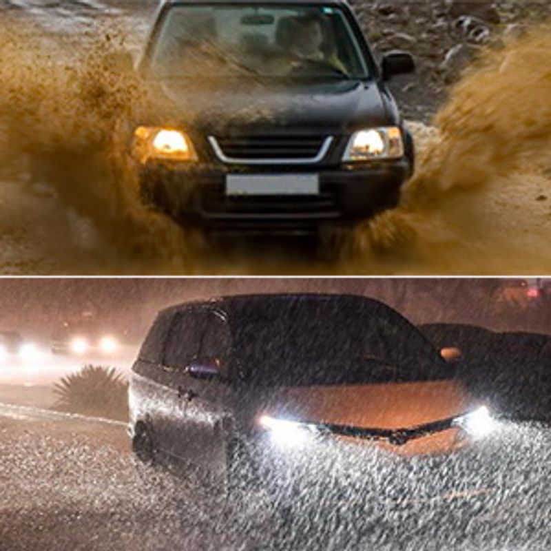 Waterproof & Dustproof