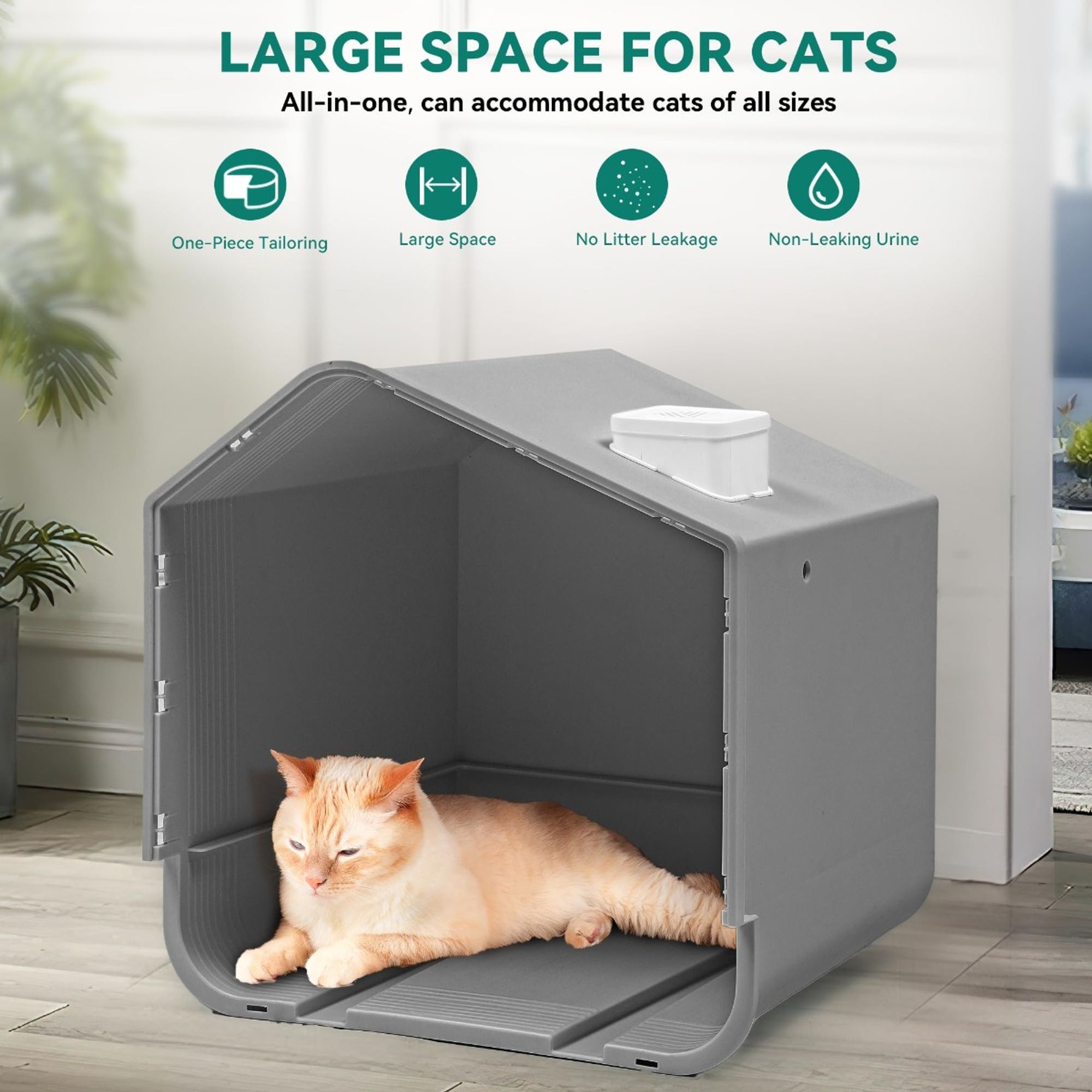 Large Cat Litter Box 16
