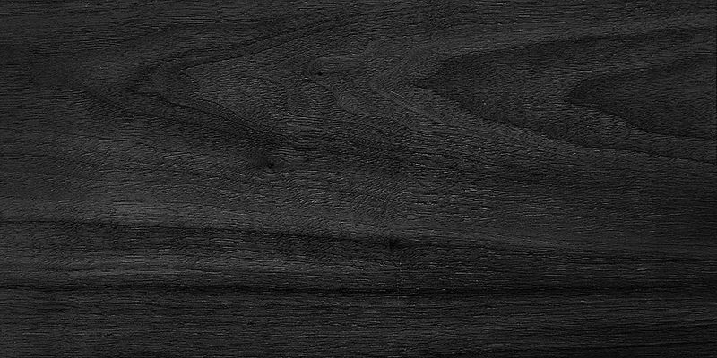 Arlo Dining Chairs (Set of 2)