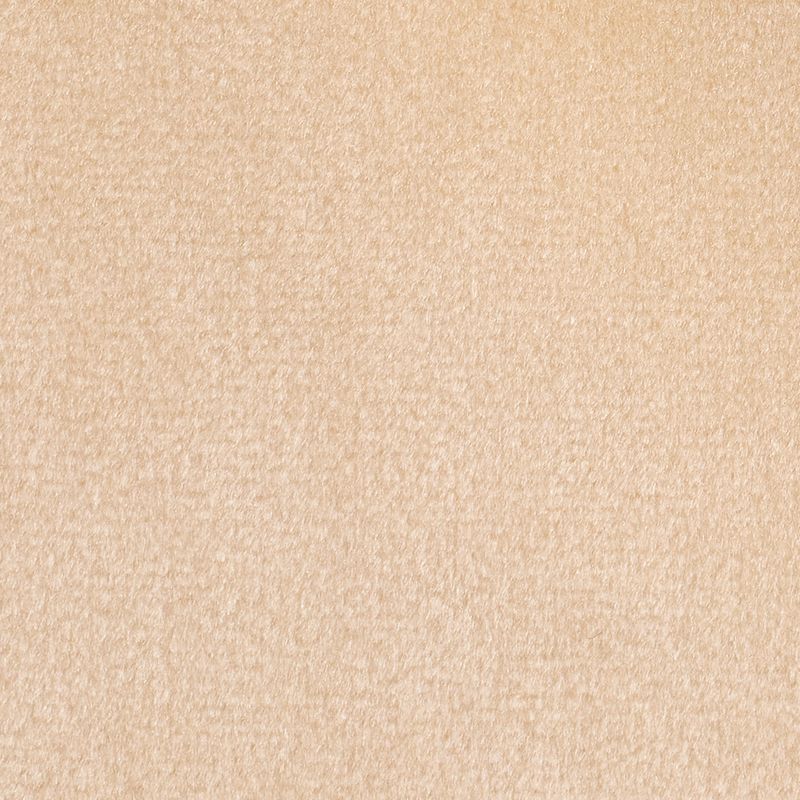 fabric swatch