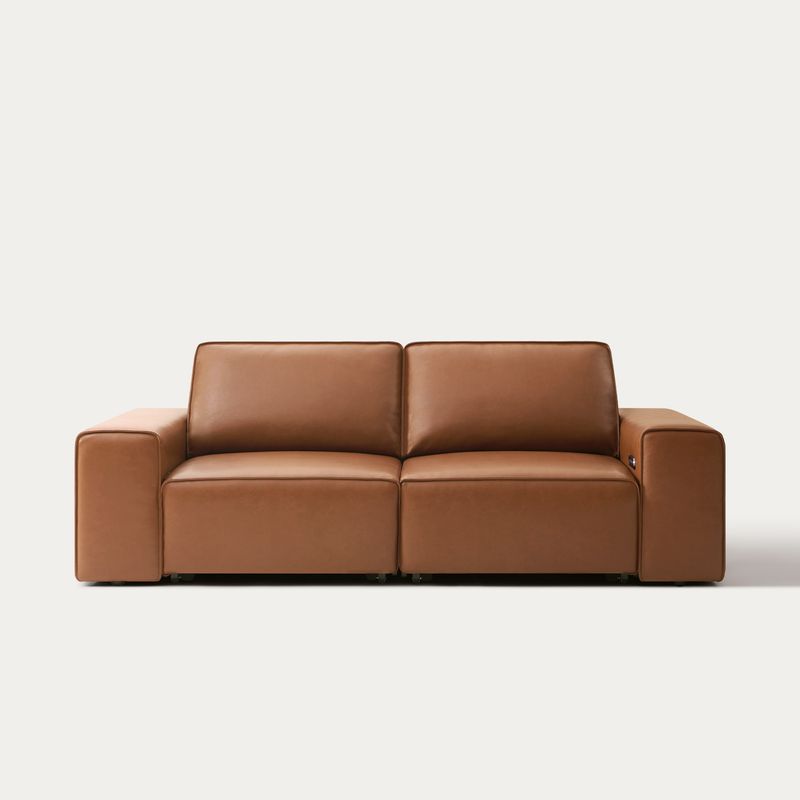Warren Power Sofa Bed