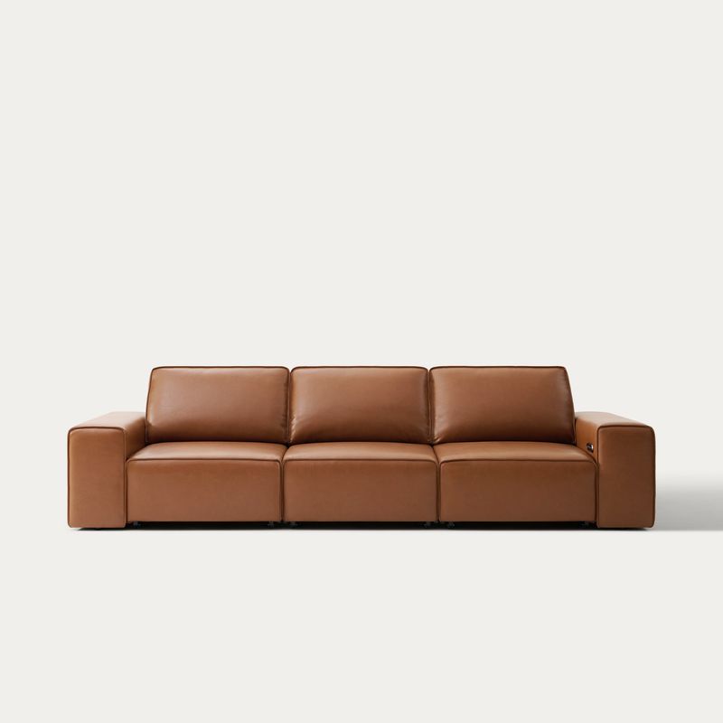 Warren Power Sofa Bed