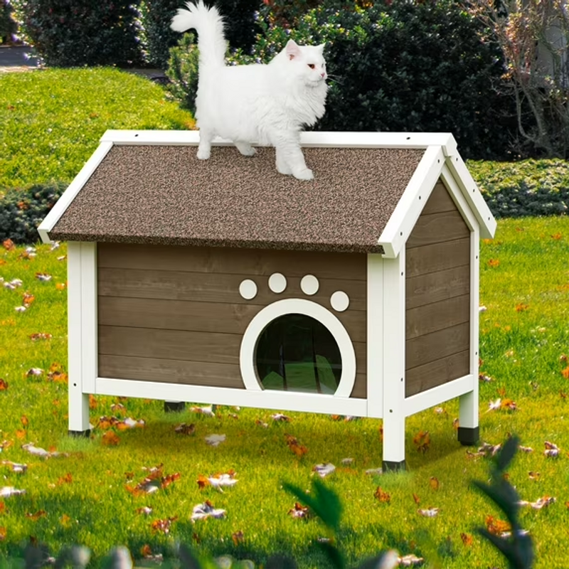 Outdoor Cat House