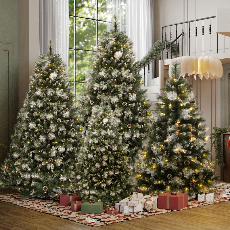 Comparison of four sizes of Christmas trees