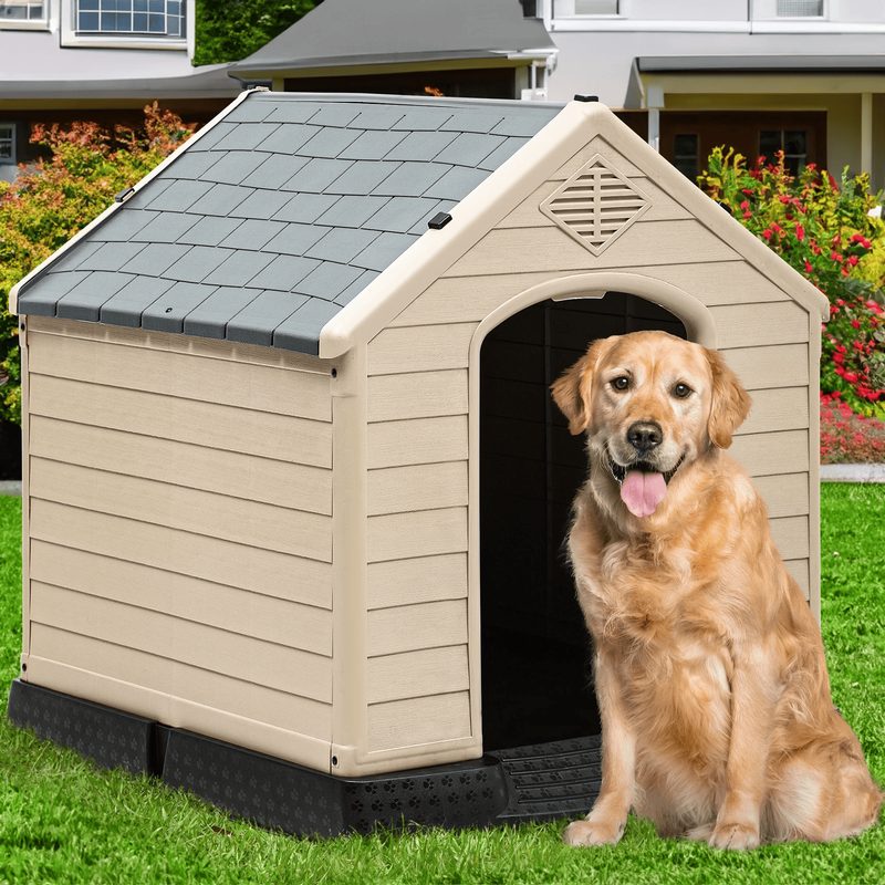 plastic dog house