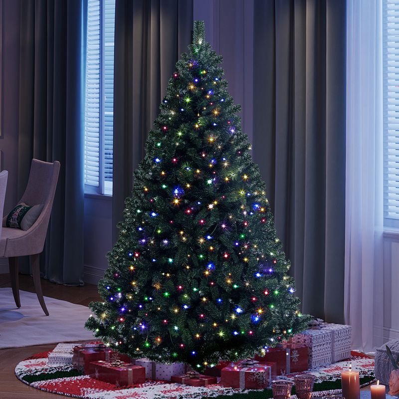 christmas trees with lights in night