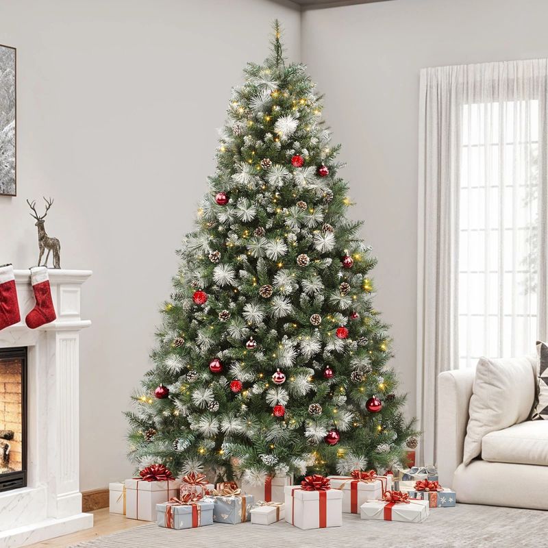 Scotch pine Christmas tree