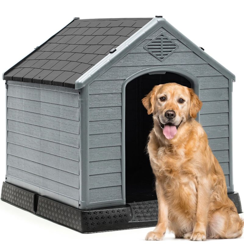 outside dog house