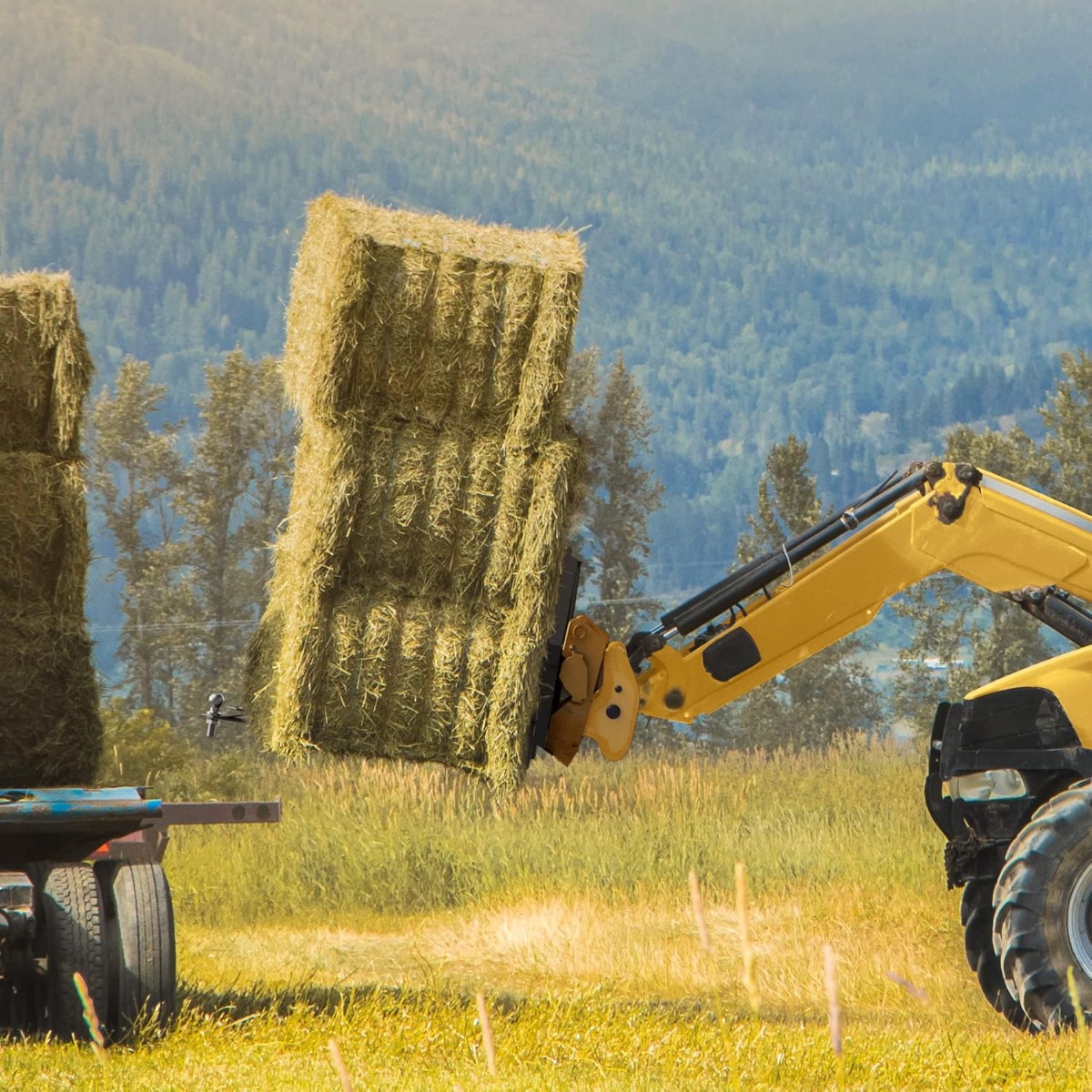 Side view of YITAMOTOR® 46" Pallet Fork 2000lbs Attachments for Tractors and Loaders